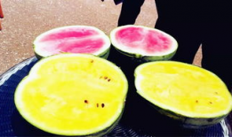 南充吃瓜爆料公司地址,地址曝光，带你一探究竟